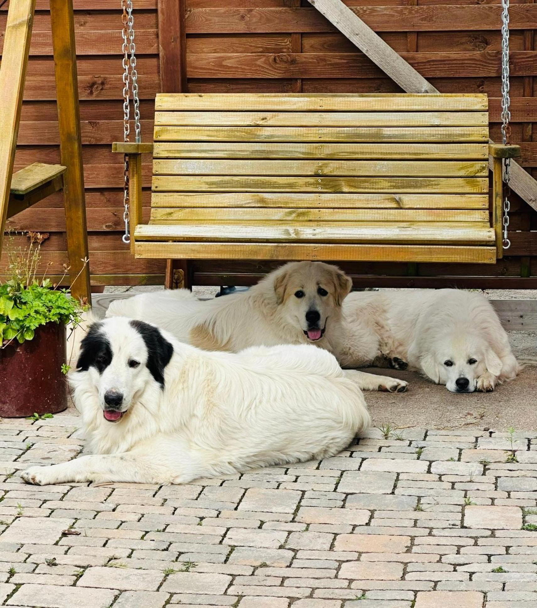 Ferienwohnung “Mount Meissner” Germerode Ngoại thất bức ảnh
